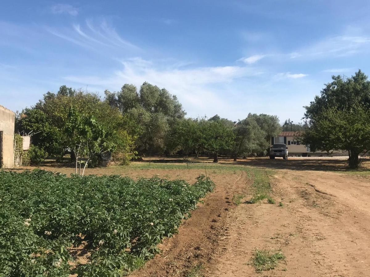 The Farm Tiny House - Tiny Casa Hotel Chiclana de la Frontera Exterior photo